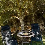 The Alou 1 - Jacuzzi - Bbq - Garden - Pool