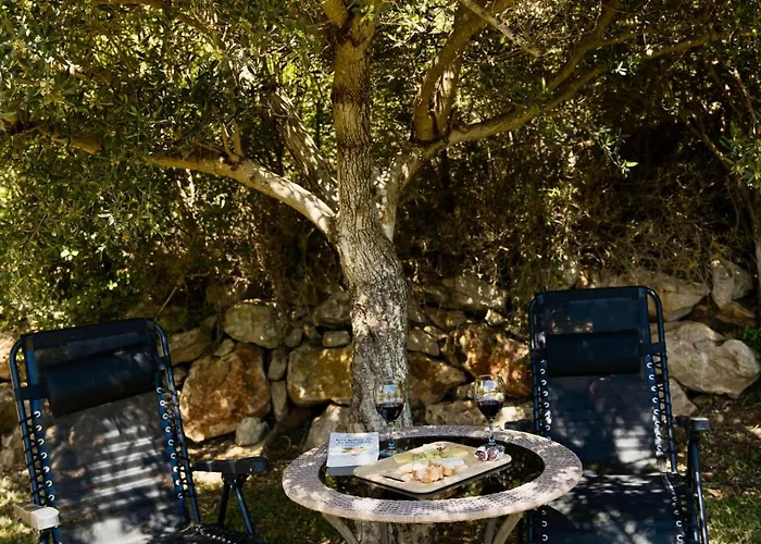 The Alou 1 - Jacuzzi - Bbq - Garden - Pool