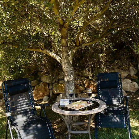 The Alou 1 - Bbq - Garden - Pool