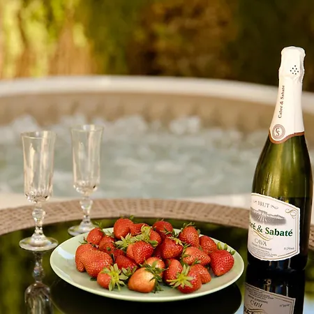 Villa The Alou 1 - Bbq - Garden - Pool